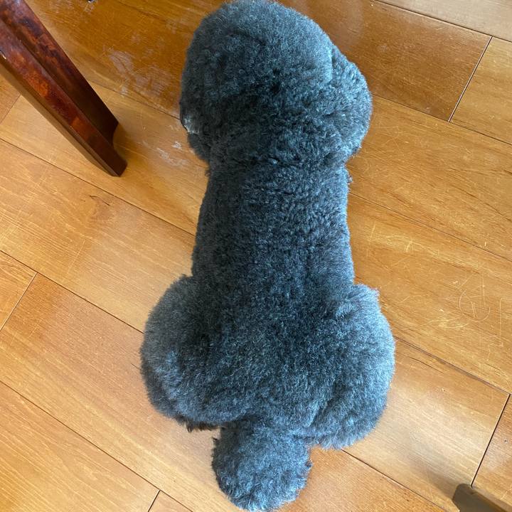 17875239 84ff 4472 a5c2 bcfa9452de34 1633219546720