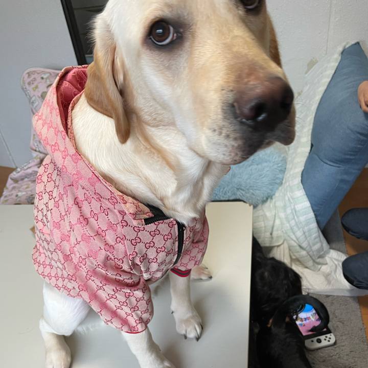 1787634a b3bb 4ffa 9588 858a1c2fce80 1646107677543