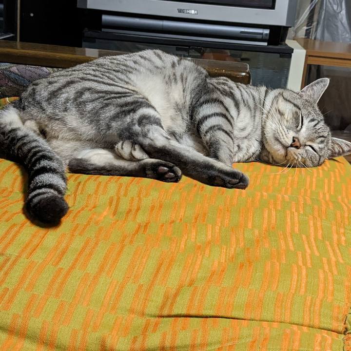 17877b55 d0b0 4f6c b5fb f185e8950f4b 1705162273509