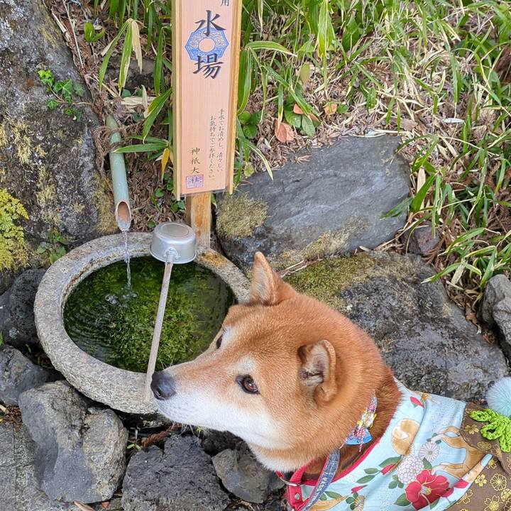 1787927d 5a9e 4a54 b186 6091365308fe 1710773849721