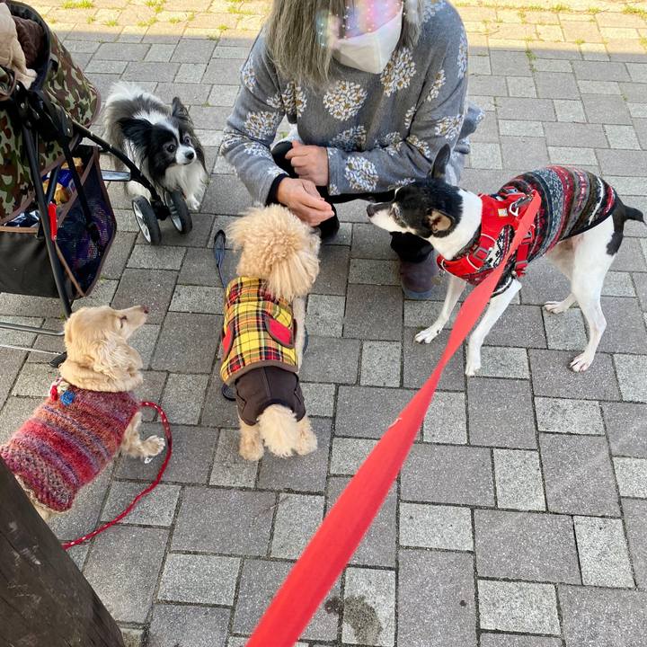 1787b5b2 bfcc 45a5 9ede a9c04b3fb03c 1615092868051