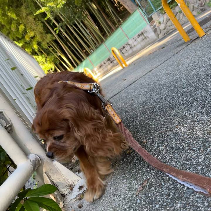 178883b9 8720 49b7 b43b d7565a935406 1697846046283