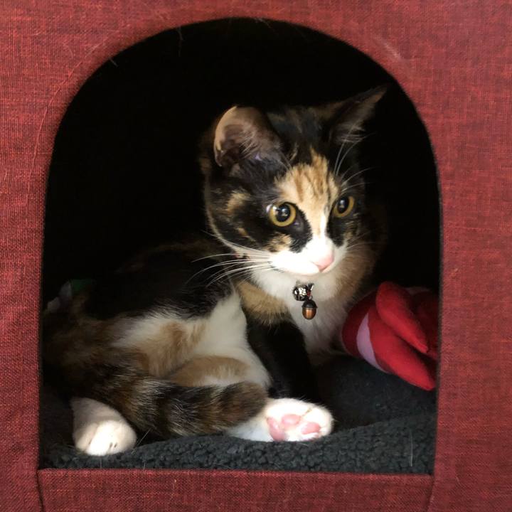 178890e9 1caa 4272 b48c d7ed892ea332 1560846128285