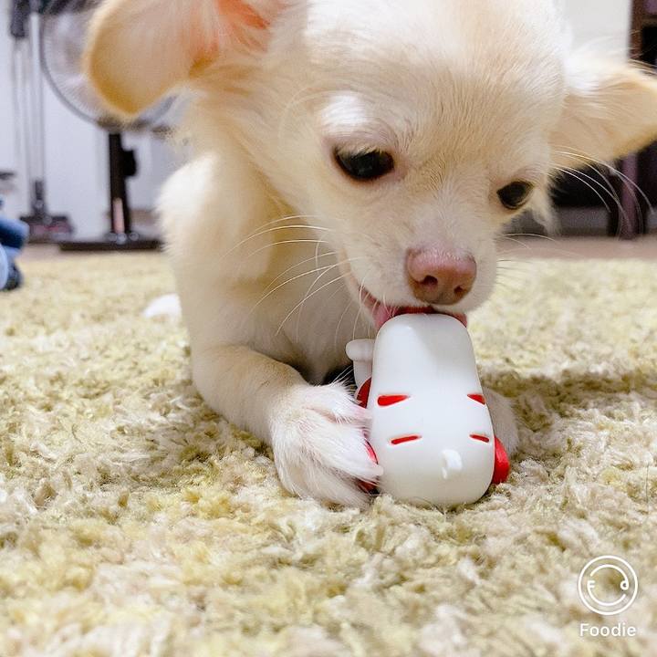 17889ee4 2749 4ac6 b0db 81dd2259ba64 1599813086897