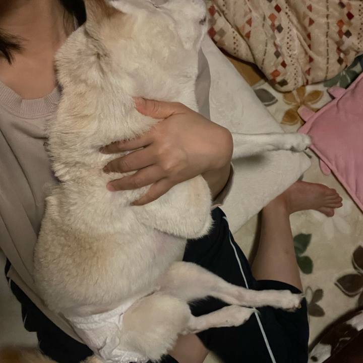 1788e560 a971 40da aa2d dab4c7f4fc21 1669914981465