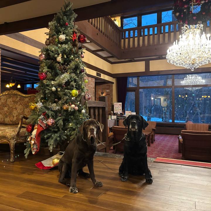 1788ff86 159c 4a9b be7c f51a4656134f 1766581771451