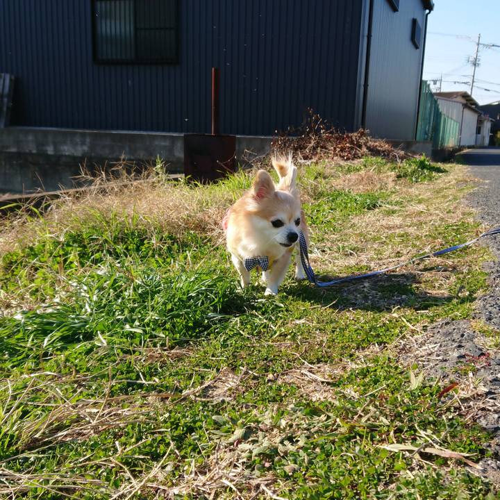 178902e6 d93f 45be 8f65 a037cb5c97e9 1513850507545