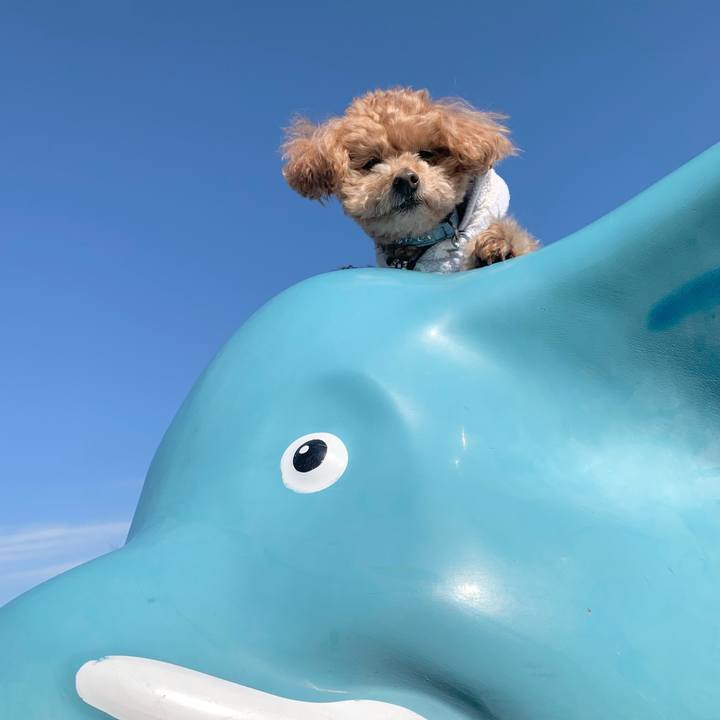 17890da3 98ec 46e0 b243 75f920d7480e 1771321361099