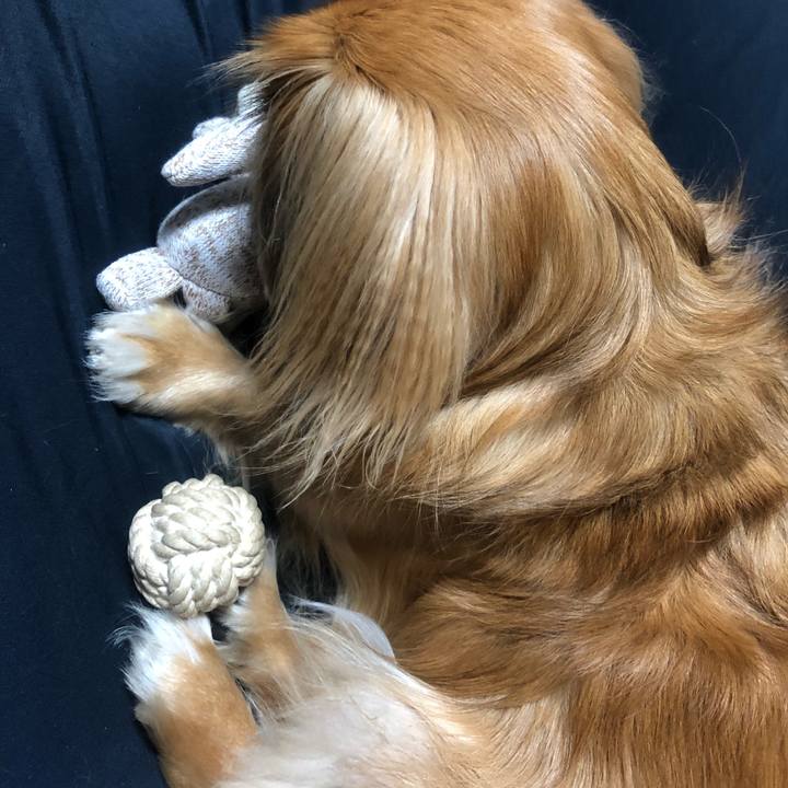 17891377 8dc7 482e a84c 81ceb11a72d4 1541371807598