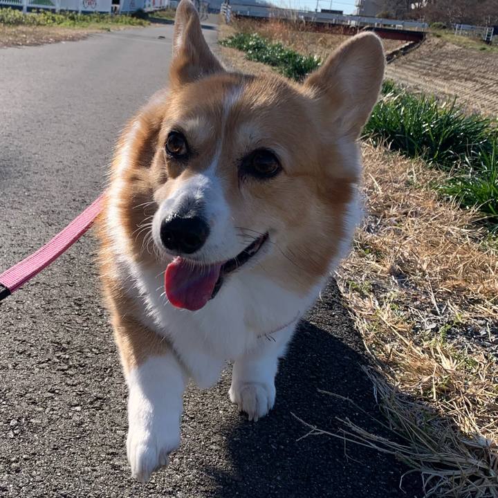 17892cbe 14d1 4da0 b1f9 6ecf76d28dc6 1703212085643