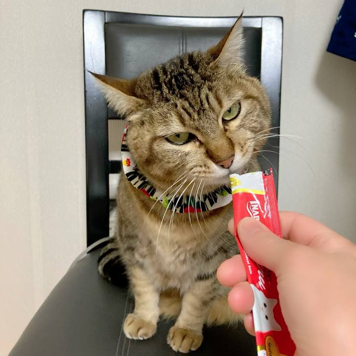 17893378 e67d 47c6 99e9 9f2911213170 1679811309185