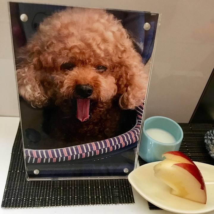 17895586 3c99 40d1 8053 2f780f293efb 1542024720759