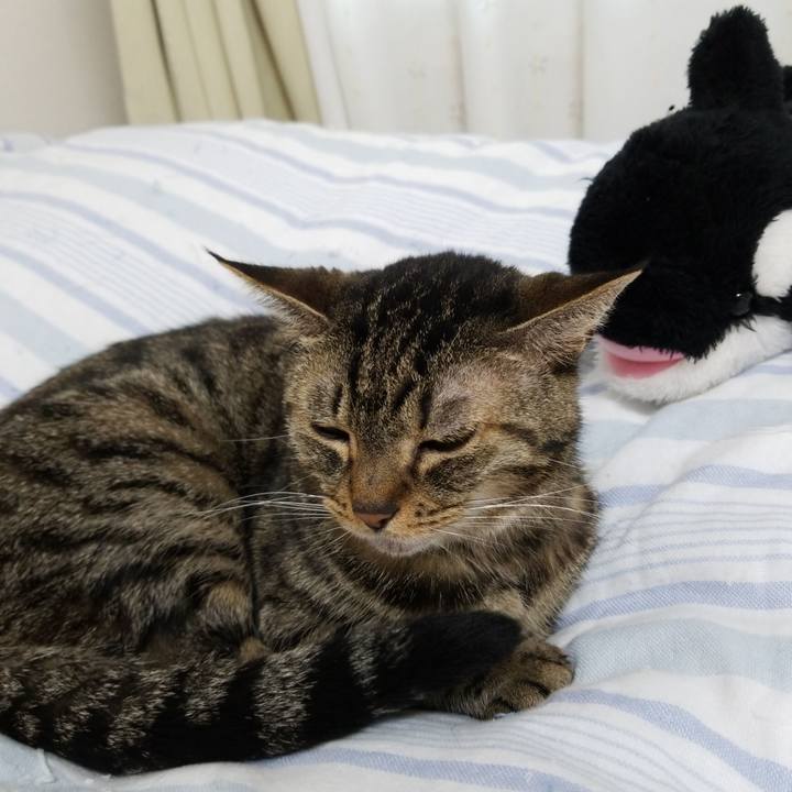 178973c2 a038 4fb8 8a76 e2e25d6cb201 1567373909362