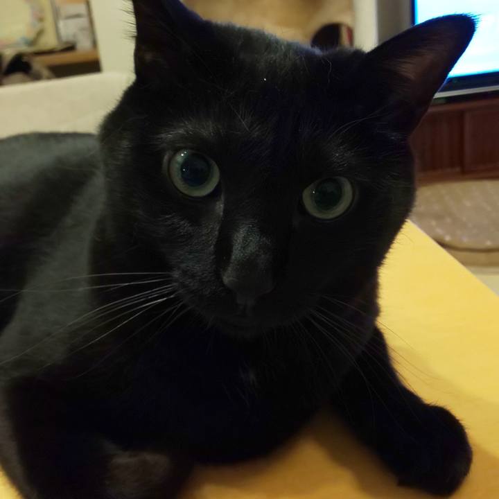 17898dc1 bcd1 49dd a190 708eb31122af 1657981208345