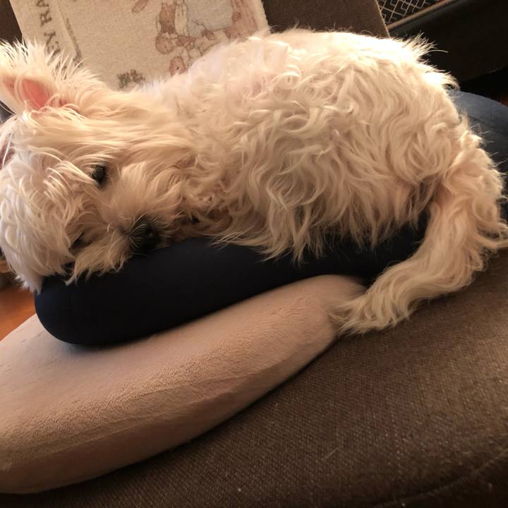 17899f84 db19 4ca3 830f a1d1a315e3ee 1587105048770