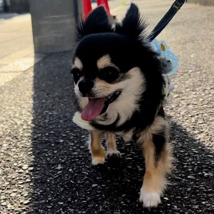 1789adf4 a88b 4703 a318 99dc81dc2385 1691188229162