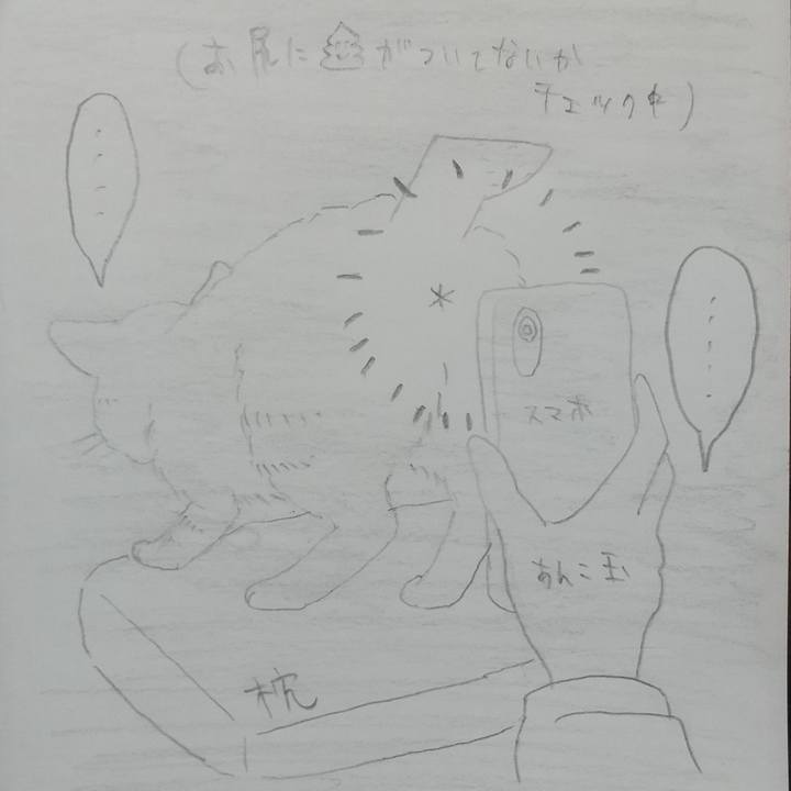 1789b3fe 9dbb 4e64 99ea d7761a9a6bad 1665305345466