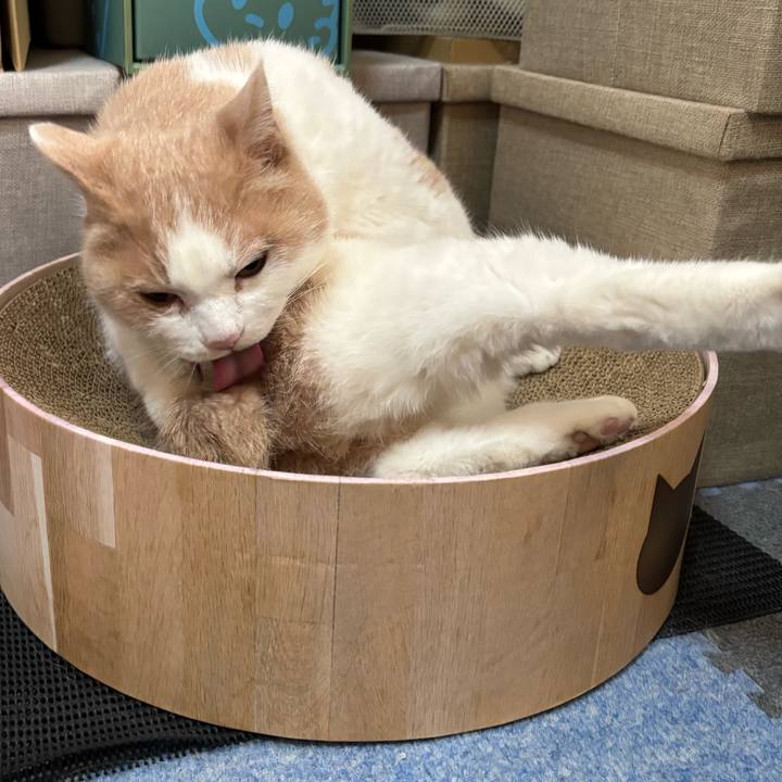 1789cffd e4b4 4eda b803 ab88ba10b561 1765146370232