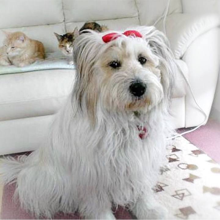 1789dac0 3d2d 4ae7 8867 f7d9cd0a5622 1557034578008