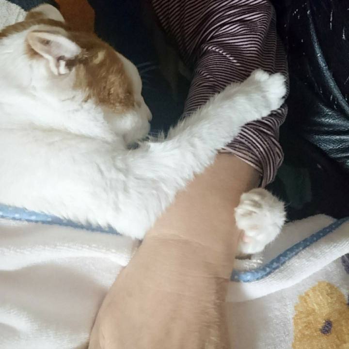 178a20f4 4229 4ace b156 b5101468d716 1588748494727