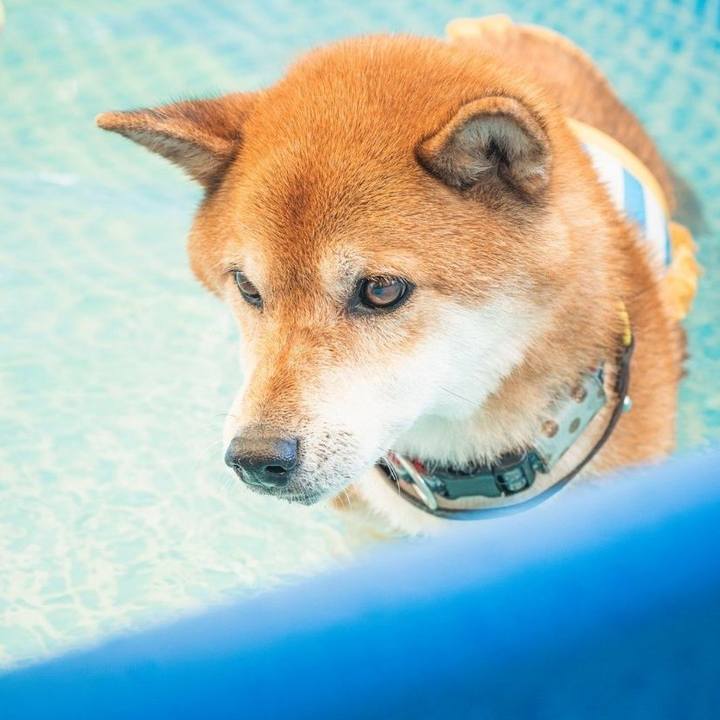 178a4c93 1c07 46e8 b7be 58b8f9b32418 1724637931597