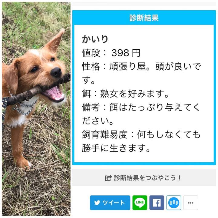 178a5d35 d745 4b34 a70a 7fad45e66e62 1530049835718