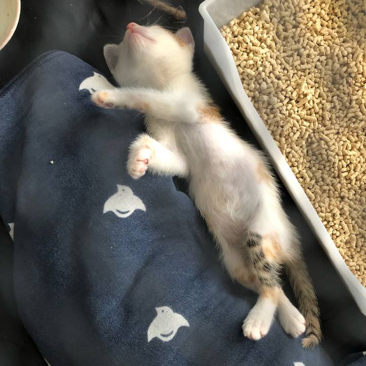 178a685e 4fec 4113 aac4 f09d1d7c12e6 1560296216334