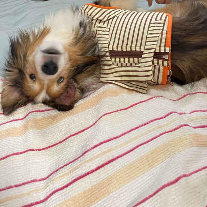 178a6c34 2695 460e b59e 56363649e7aa 1653315550394