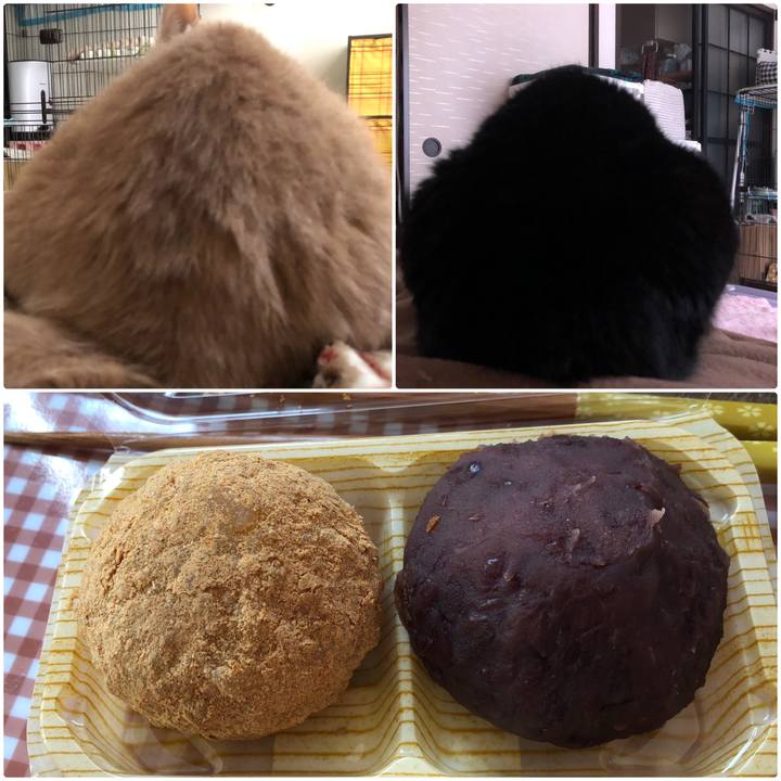 178a96b7 40da 4a1c 856a c0c6f9952ee4 1603498251760