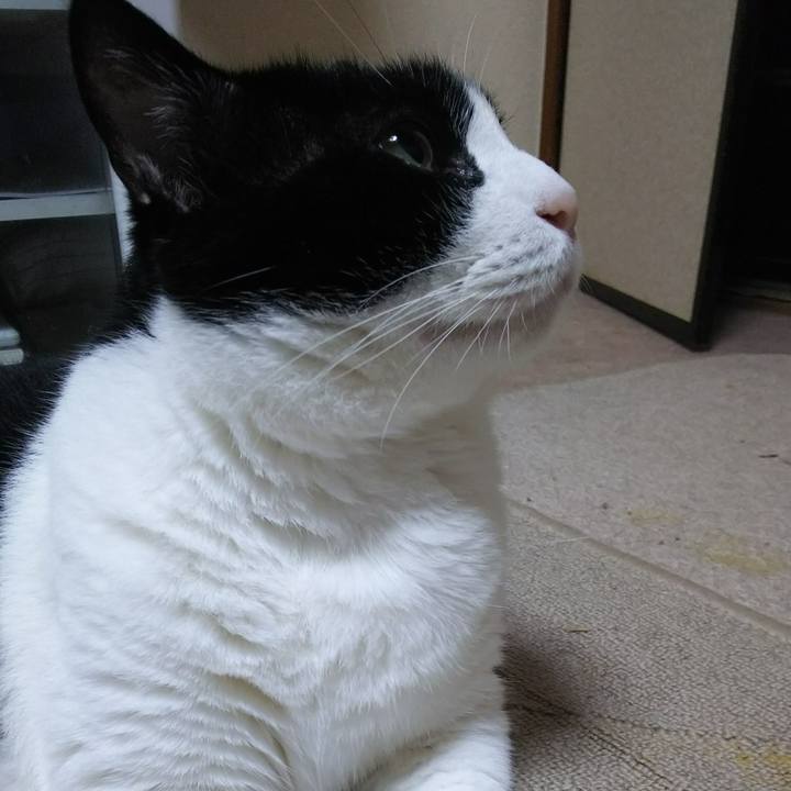 178aa2ed ee4b 446e 9c2c 679a52665726 1537825776073