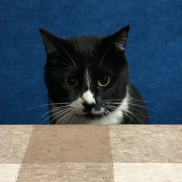 178aa5df 9540 426e b0a3 695e9fb74620 1549080960937