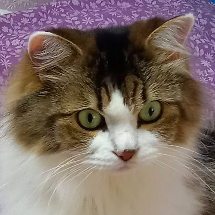 178aabe1 4622 4c7f 8033 da5eb8aebdf1 1627691491160