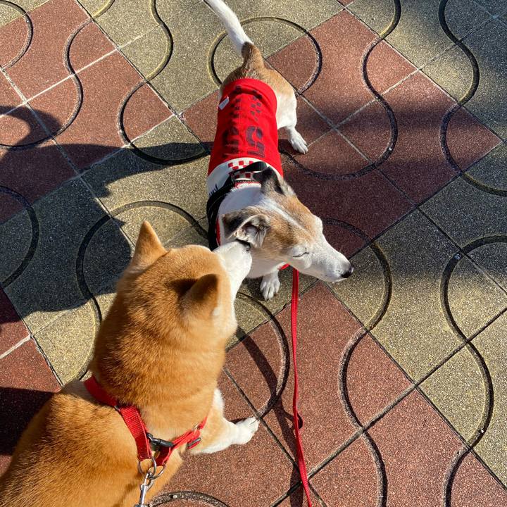 178afd1d bba4 4800 91b0 8fb23c726722 1605420479142