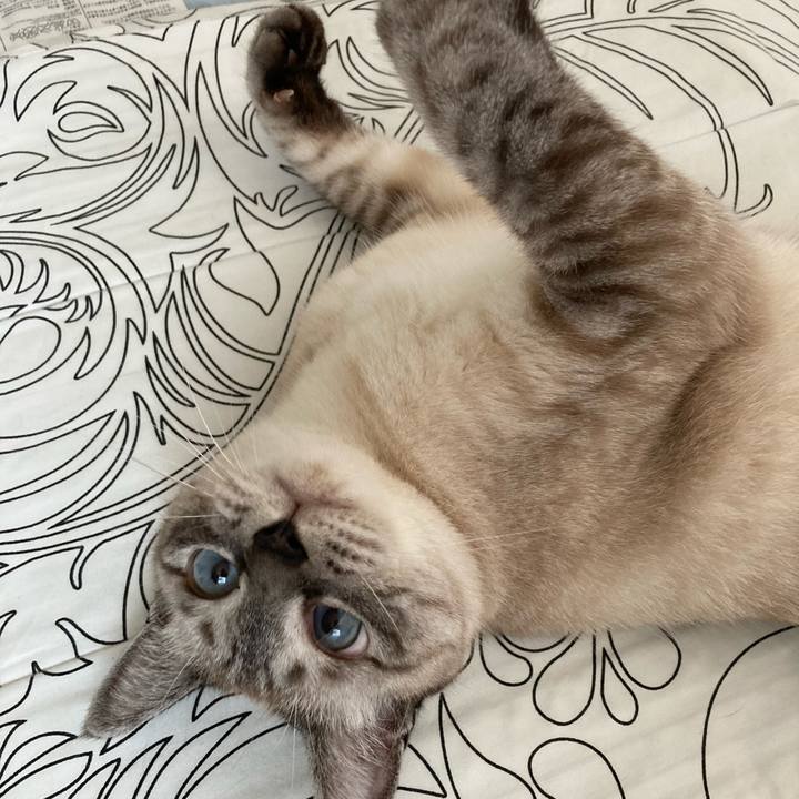 178b1096 c8c5 43ca b465 4c7082c67ba3 1626917076706