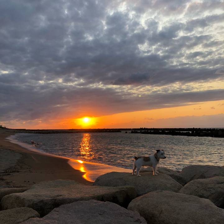 178b1a7f 8406 4504 92e0 137a2cb71e96 1603960012641