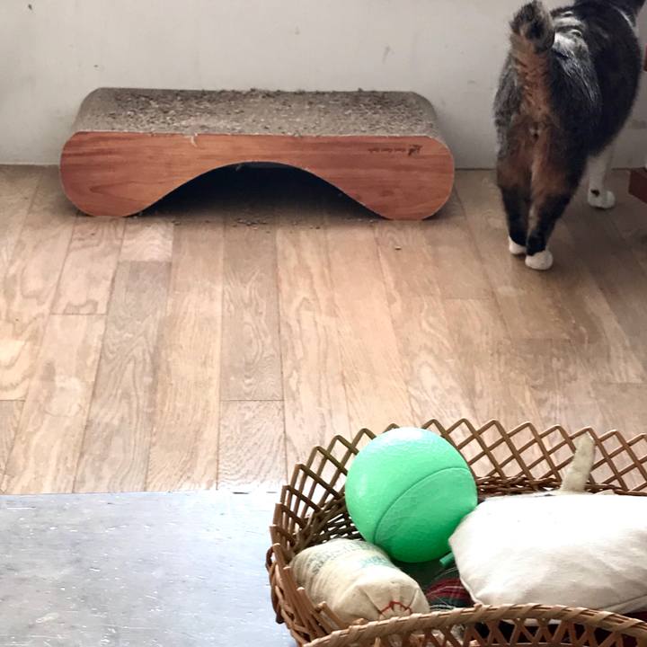 178b22e7 e469 485a a332 18b9dd3b2c51 1603603826887