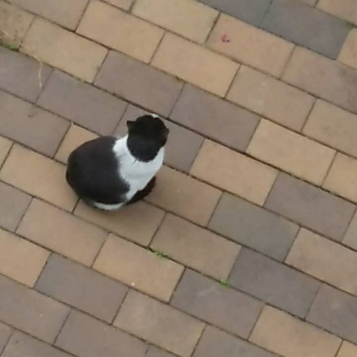 178b2f0b f145 43ad bb70 ad7a12f4517f 1523102595711