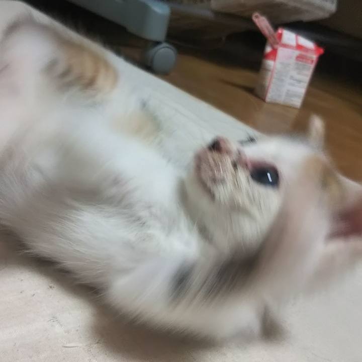 178b424b 304a 435a 907d ad7adbffc3f1 1632389163175