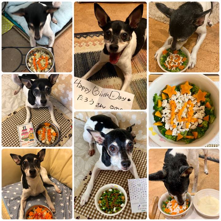 178b6510 2fbd 4b87 902d c5b5e9182061 1688278742402