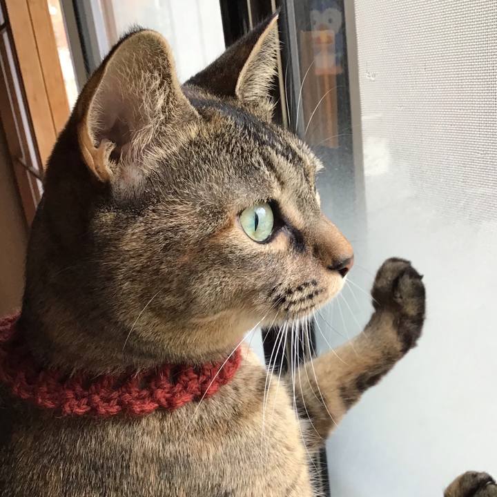 178b6570 4b16 423e a41f 26c1c810b642 1638864259023