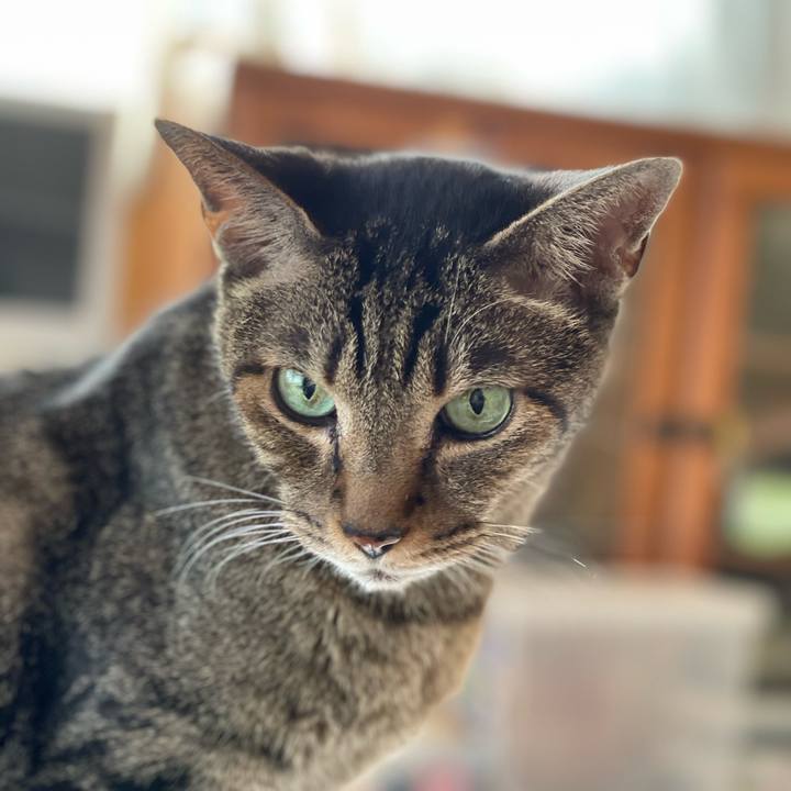 178b70da e9ae 49a4 b147 3c52366ad941 1603503347014