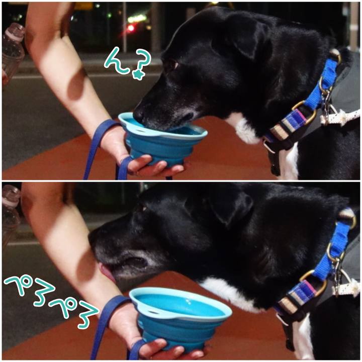 178b73bb d2ce 4f91 84cf 4c480dca86a9 1663669710503