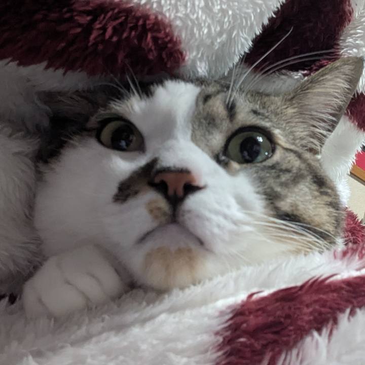 178bb2d8 49b9 4cfb 84df fa75d009da88 1737120050600