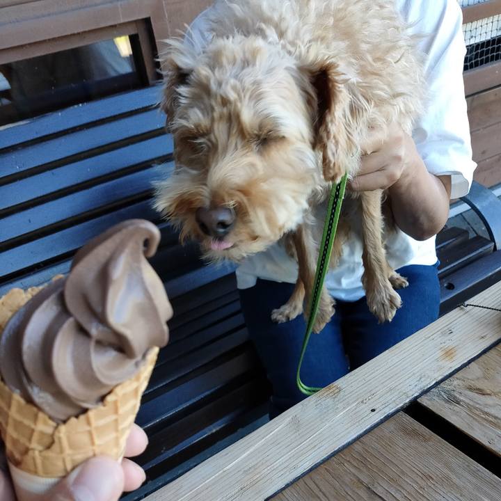 178bde07 85c0 463b 96ec 75f55cb6437a 1598094459944