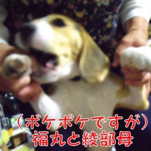 178be09c 0ab0 49ea ae8f 383ec8bb861d 1682994496273