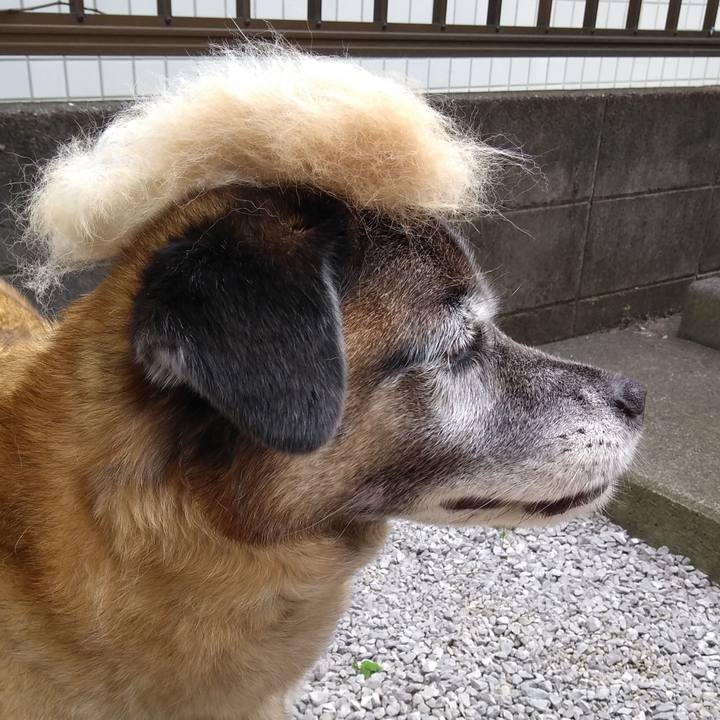 178c1632 c563 476a 8615 e4ca6a67db75 1562801390860