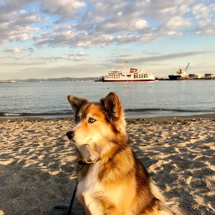 178c6a0c 46a2 4ea2 aafe db5a639faa10 1517320302411