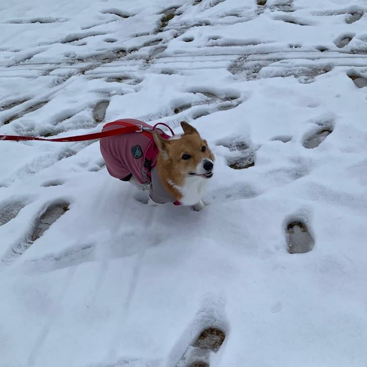 178c733f d0ad 4e23 a362 4bf74e5fb611 1707194605884