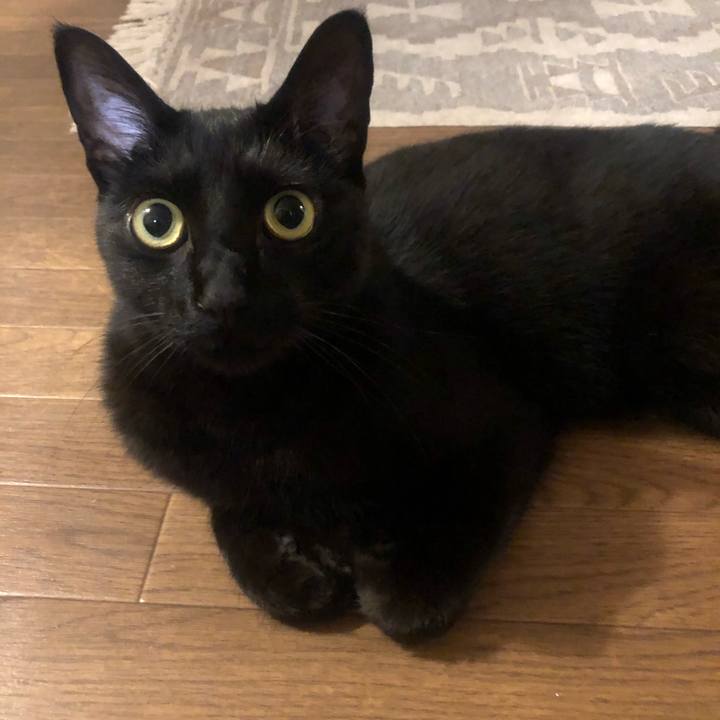 178cb3b6 754d 4ba9 b54f ca86891fdf46 1621318123468