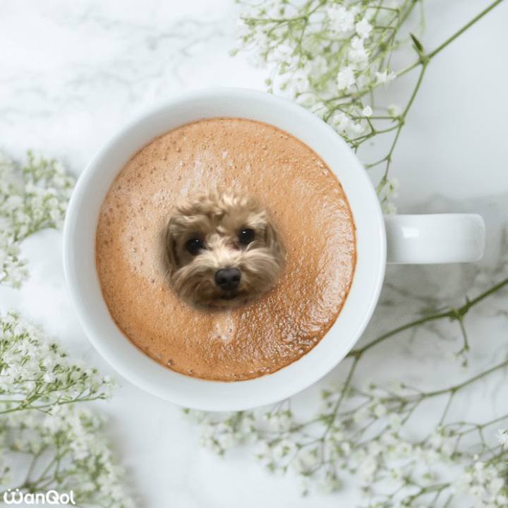 178cda14 cb8b 4232 8cfd eb255f7f524a 1640725039208